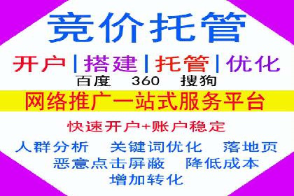 行业领先企业的SEM竞价代运营案例解析